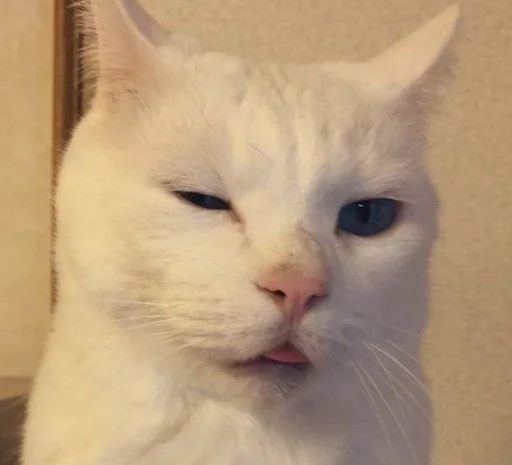 Эмодзи котяра