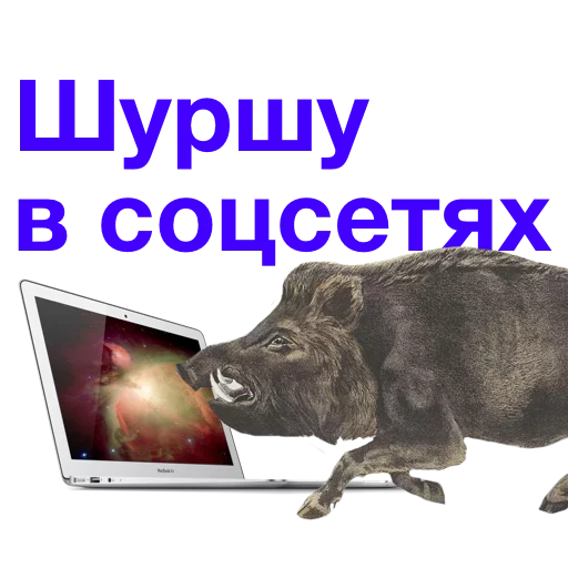 Эмодзи Kabanchikom