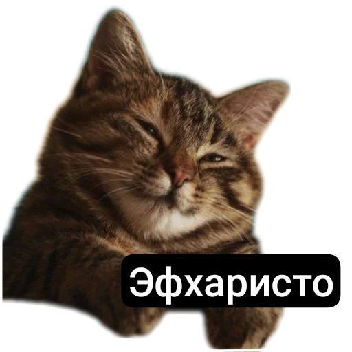 Эмодзи Kalimera