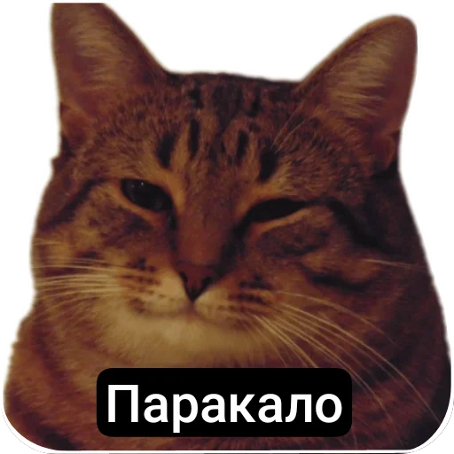 Эмодзи Kalimera
