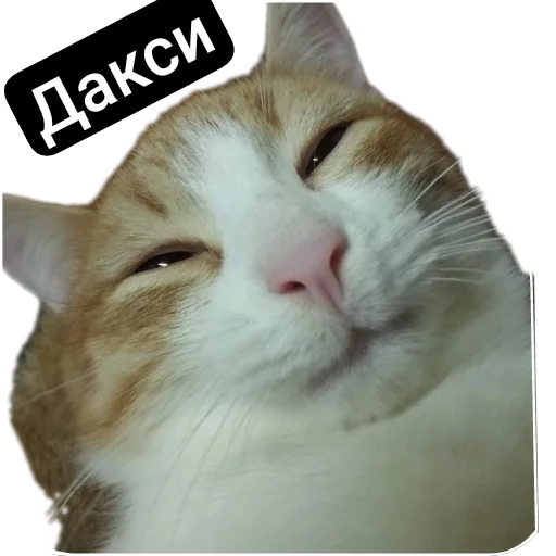 Эмодзи Kalimera