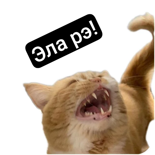 Эмодзи Kalimera
