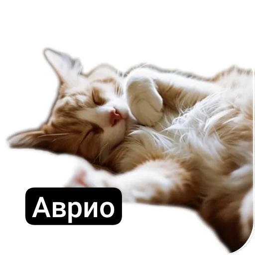 Эмодзи Kalimera
