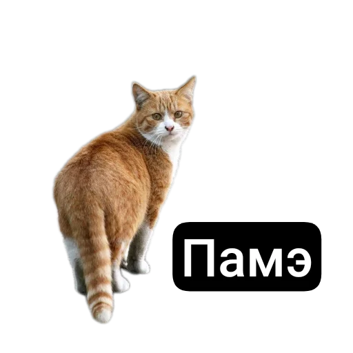 Эмодзи Kalimera