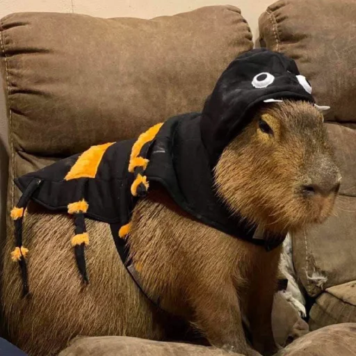 Эмодзи Капибара