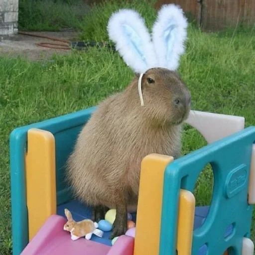 Эмодзи Капибара