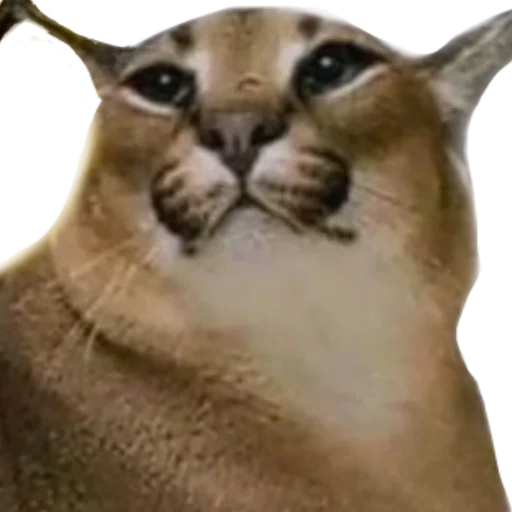 Эмодзи Шлёпанцы