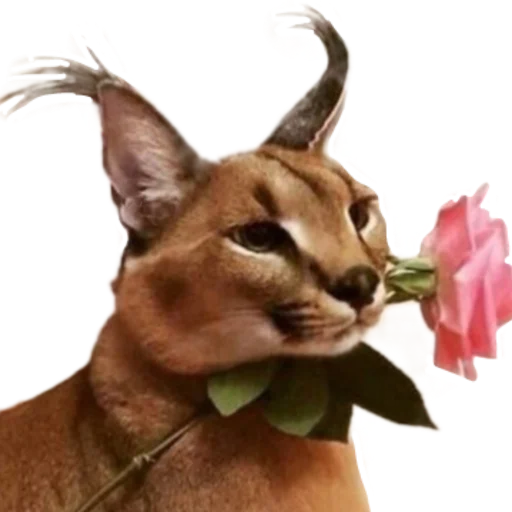 Эмодзи Шлёпанцы