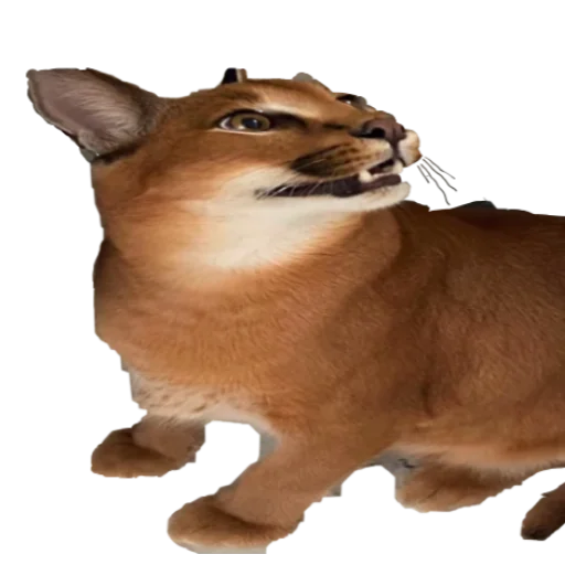 Эмодзи Шлёпанцы