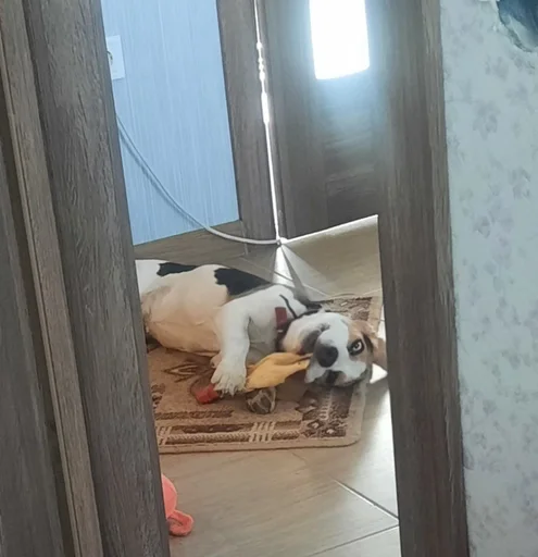 ?