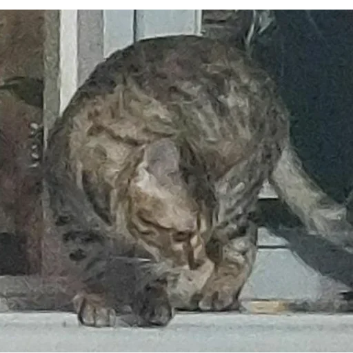 Эмодзи Memes | Мемы