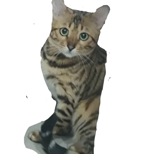 Эмодзи Memes | Мемы