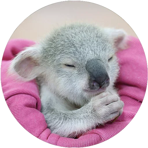 Эмодзи Kids Animals