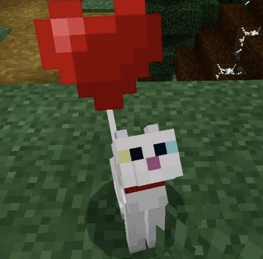 ❤️