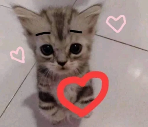 Эмодзи котики