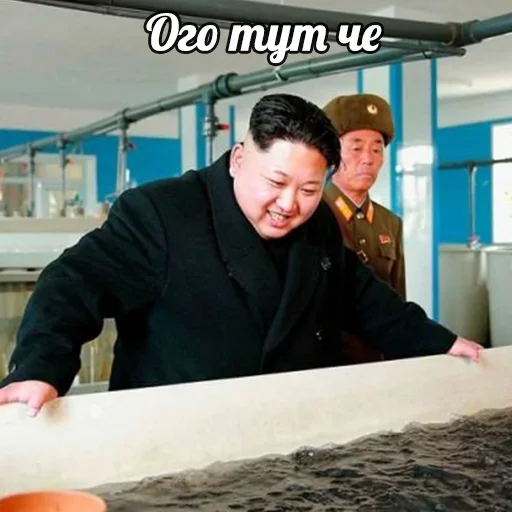 Эмодзи Ким Северная Корея