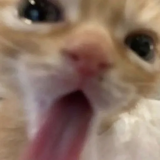 ?