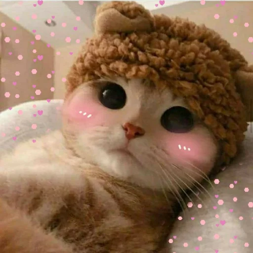 🐾