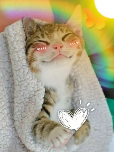 Эмодзи Kittens🐾Clau