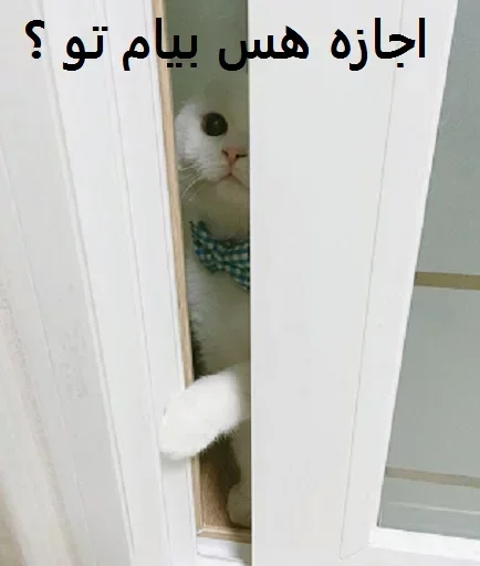 ?