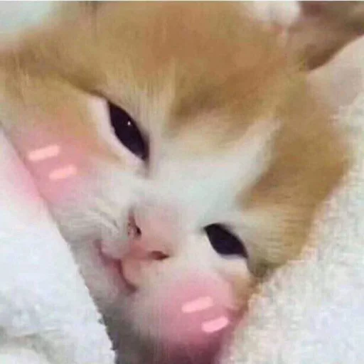 😊