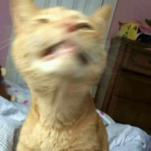 Эмодзи Kittos