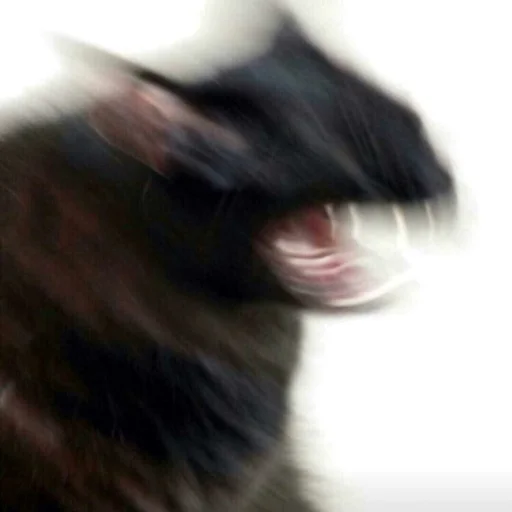 Эмодзи Kittos