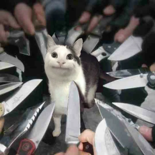 Эмодзи Kittos
