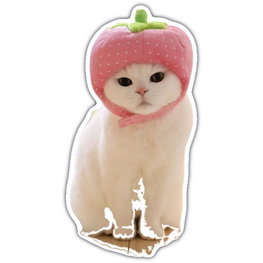 Эмодзи kitty cute