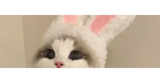 Эмодзи kittens