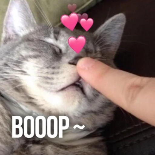 Эмодзи Kittydogs
