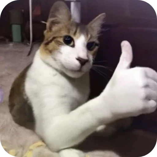 Эмодзи Китя