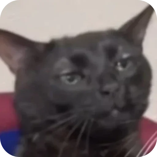 Эмодзи Китя