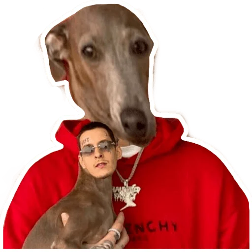 Эмодзи Kizaru sticker pack v2.0