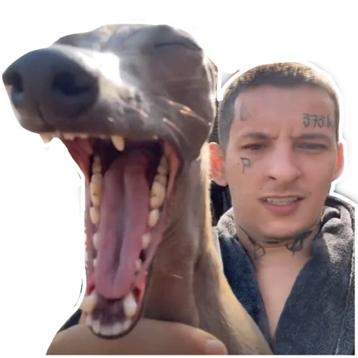 Эмодзи Kizaru sticker pack v2.0