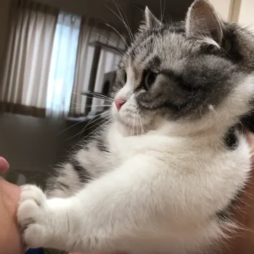 Эмодзи Будни Комару