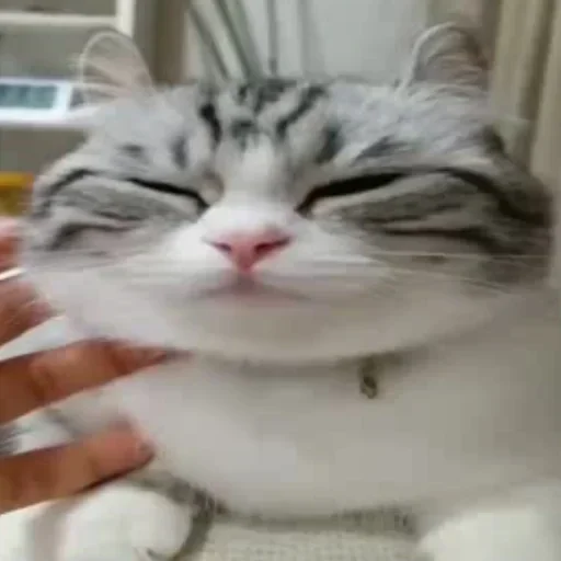 Эмодзи Будни Комару