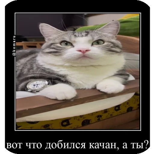 Эмодзи Комару рофлс