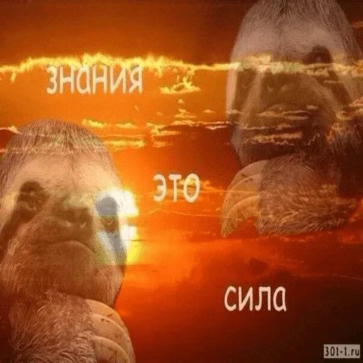 Эмодзи Коробка для Долбоебов