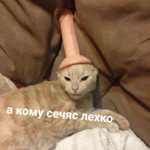 Эмодзи Коробка для Долбоебов