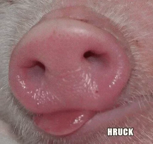 Эмодзи Коробка для Долбоебов