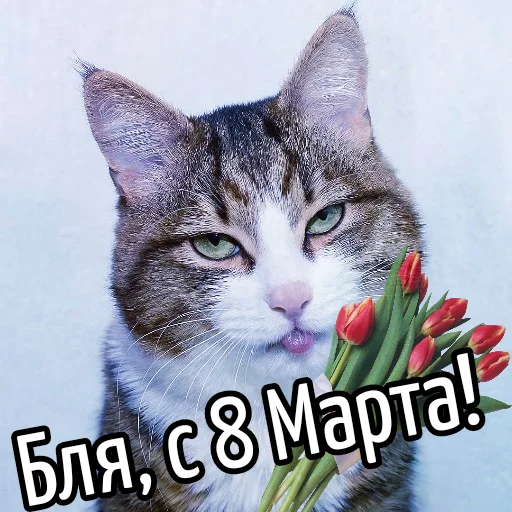 ?