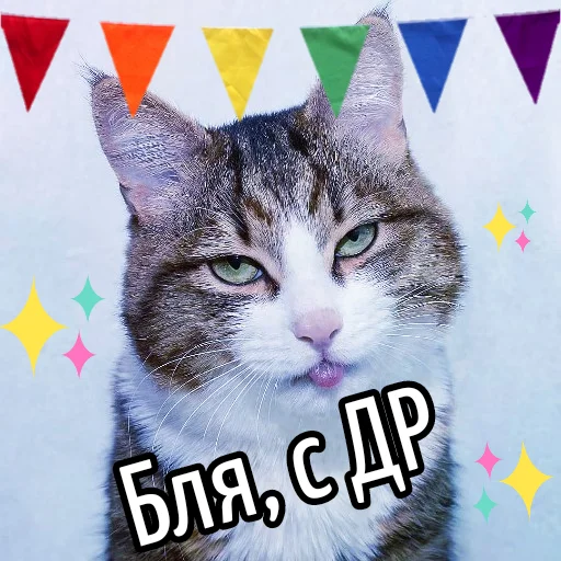 Эмодзи Кот "Бля" ?