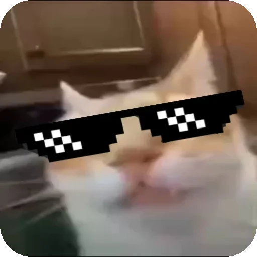 Эмодзи Кот Нормас