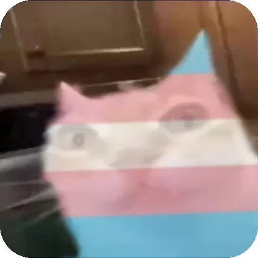 Эмодзи Кот Нормас