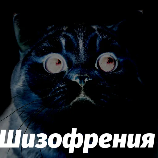 Эмодзи Котики