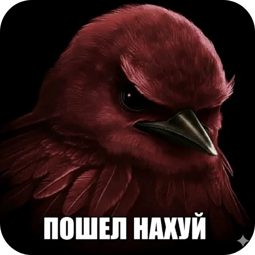 Эмодзи Birds Memes
