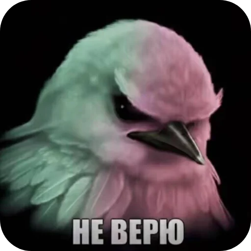Эмодзи Birds Memes