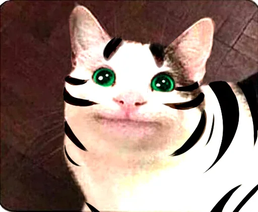 Эмодзи Cats Memes
