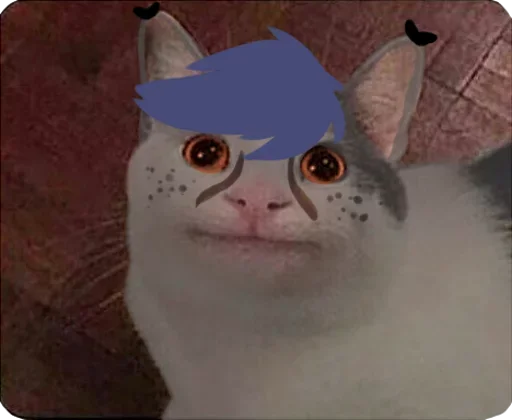 Эмодзи Cats Memes